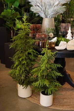 Real-touch artificial potted cypress tree