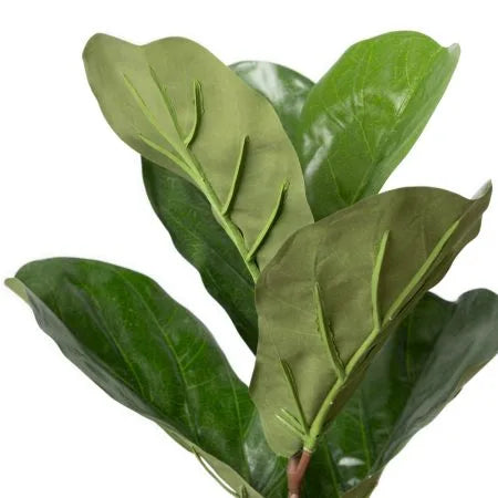 Fiddle-leaf fig tree with fire-retardant foliage