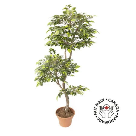 Artificial lime green mini ficus handmade tree