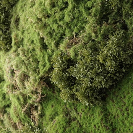 Artificial textured moss plant wall, 36 x 30”