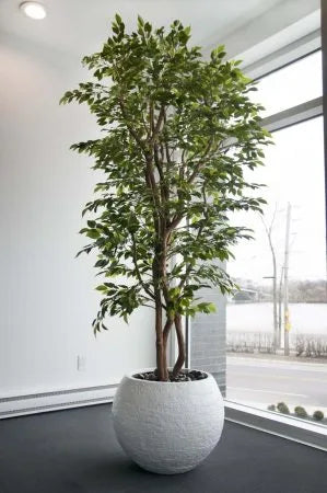 Artificial lime green mini ficus handmade tree