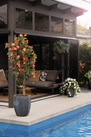 Orange artificial outdoor hibiscus tree