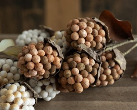 Artificial cream autumn pod berry spray, 18”