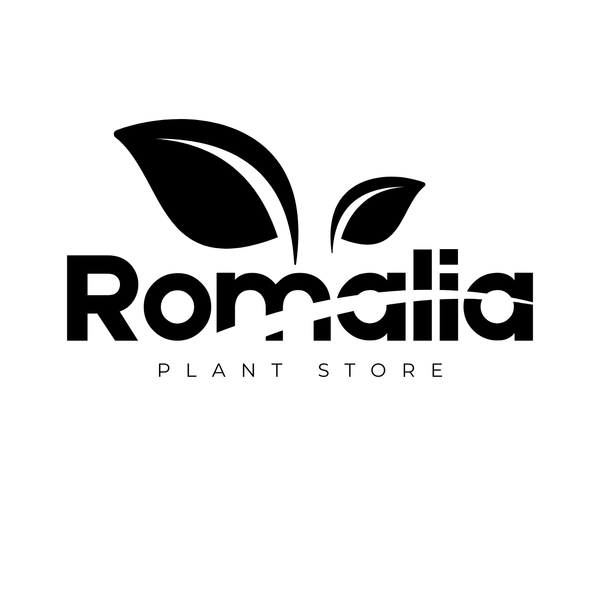 Romalia Plants