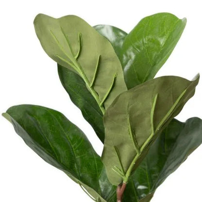 Fiddle-leaf fig tree with fire-retardant foliage