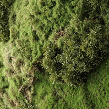 Artificial textured moss plant wall, 36 x 30”