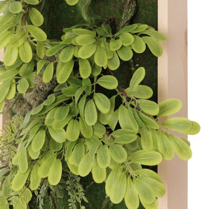 Artificial plant wall, acacia foliage, 30 x 15”