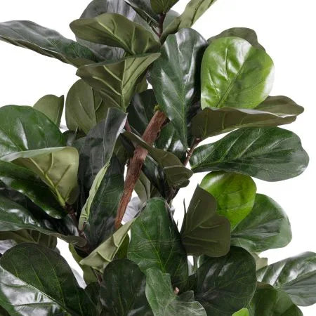 Fiddle-leaf fig tree with fire-retardant foliage