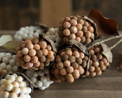 Artificial cream autumn pod berry spray, 18”